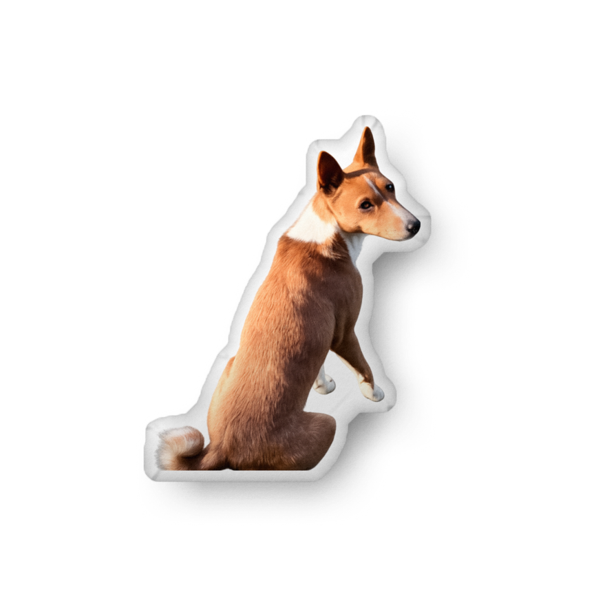 Custom Shape Pet Pillow