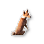Custom Shape Pet Pillow