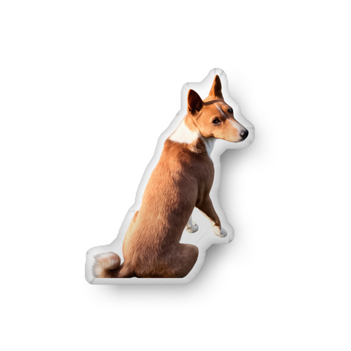 Custom Shape Pet Pillow